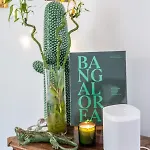 Villa Del Rey - Luxury Ocean *